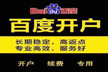 SEM代运营案例：助力企业实现线上转型